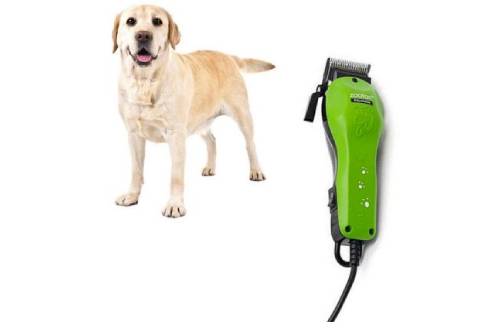 Máquina de Pelo Para Mascotas Zoofari