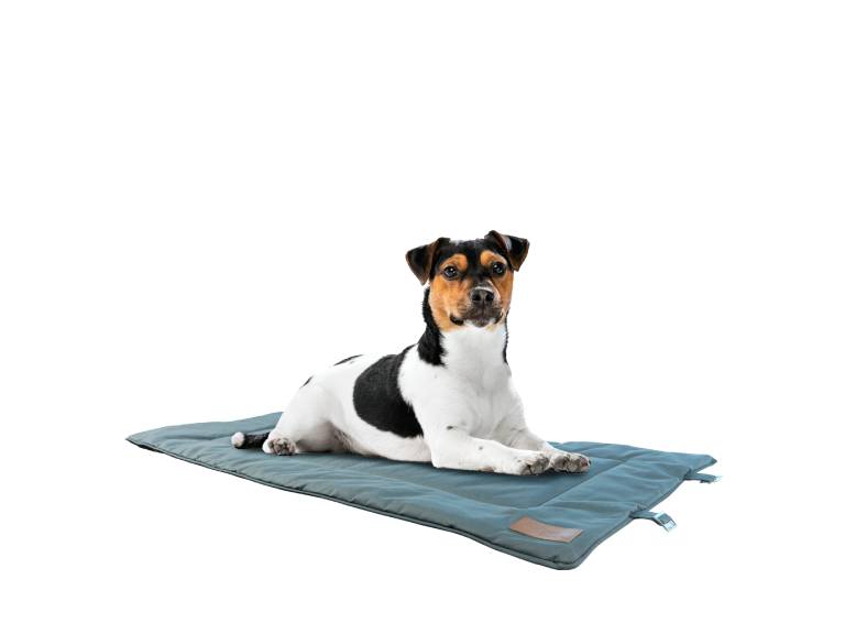 Cama Roller Mascota Toby 112x67 cm-R6209