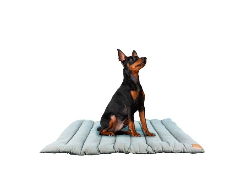 Cama Roller Mascota Maya 112x67 cm -R6210