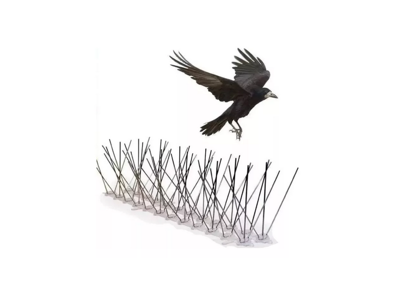 Pack 10 Puás Ahuyentador Aves 50 cm