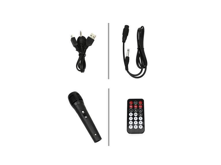 Parlante Bluetooth Karaoke Inalambrico 10 Watt Rojo